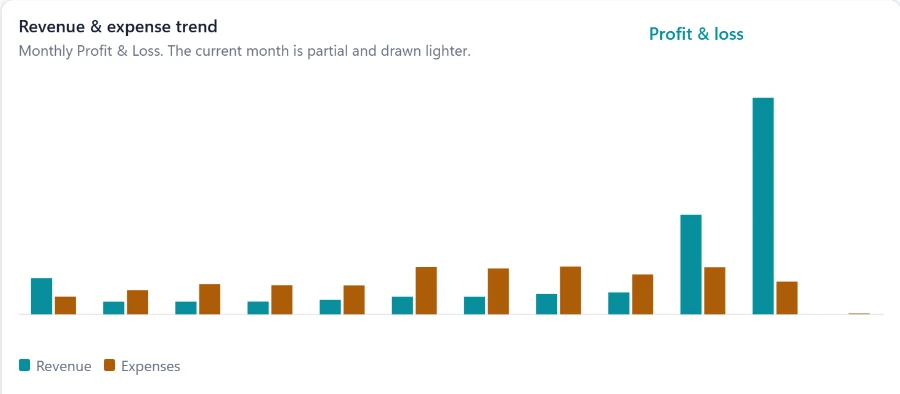Accounting widget: the monthly revenue and expense trend from the Profit & Loss; the current month is drawn lighter.
